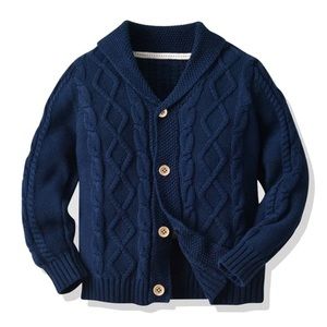 Toddler Boys Cable Knit Cardigan